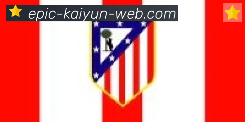 开云体育合作伙伴